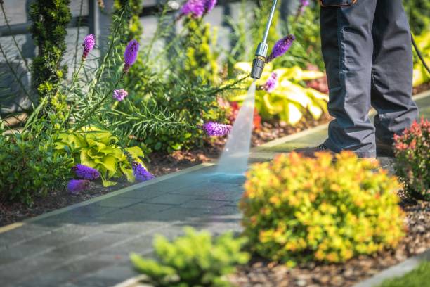Best Sidewalk and Walkway Cleaning  in Berne, IN