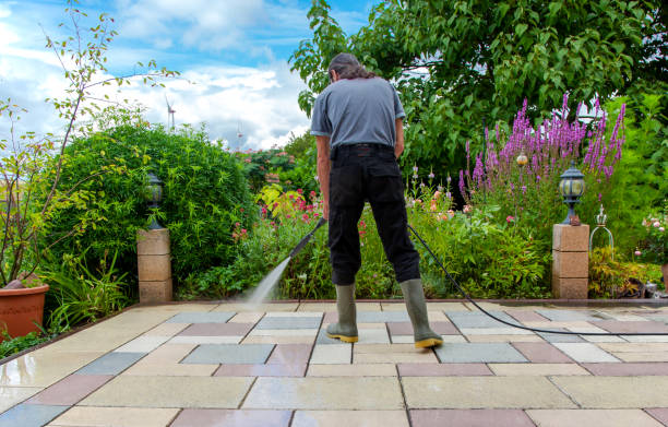 Best Animal Enclosure Cleaning  in Berne, IN